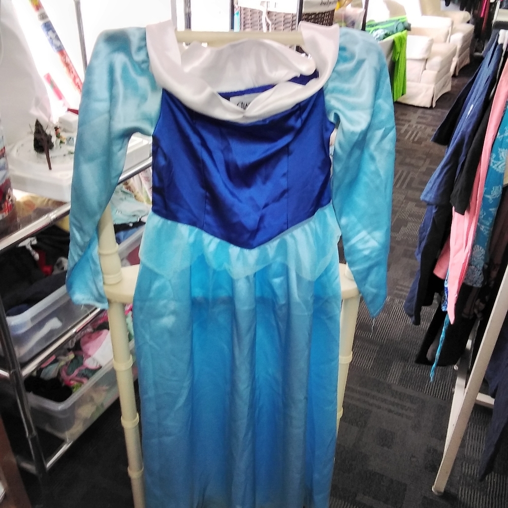 Charades Sleeping Beauty costume